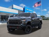 New 2026 Chevrolet Silverado 1500 Custom Trail Boss w/ LPO, Dark Essentials Package image 6