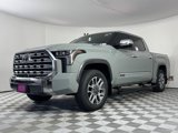 New 2025 Toyota Tundra 1794 Edition image 3