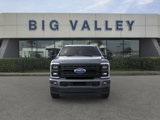 New 2025 Ford F250 Platinum image 6