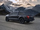 New 2025 Ford F150 Platinum image 4