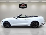 Used 2019 Ford Mustang Premium image 3
