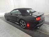 Used 2024 Ford Mustang Convertible image 5