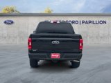 Certified 2021 Ford F150 XLT w/ Equipment Group 302A High image 4