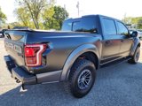 Used 2019 Ford F150 Raptor w/ Equipment Group 802A Luxury image 2