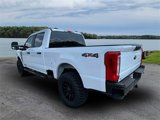 New 2025 Ford F250 XL image 5