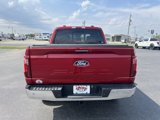 Used 2024 Ford F150 XLT w/ Equipment Group 302A MID image 4