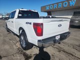 New 2025 Ford F150 XLT image 5