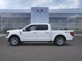New 2025 Ford F150 XLT w/ Equipment Group 302A MID image 3