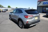 Used 2021 Ford Escape SEL image 3