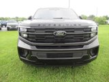 New 2025 Ford Expedition Max Platinum image 2