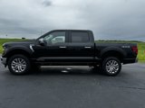 New 2024 Ford F150 XLT w/ Equipment Group 302A MID image 3
