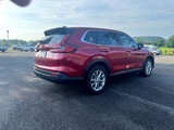 Used 2025 Honda CR-V EX-L image 3