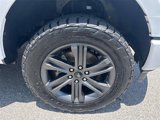 Used 2023 Ford F150 XLT w/ Equipment Group 302A High image 4