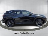 Used 2025 Lexus NX 350h AWD w/ Premium Package image 5