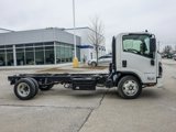 New 2025 Chevrolet Low Cab Forward 5500 XD image 2