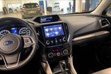 Certified 2022 Subaru Forester Limited image 6