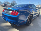 Used 2017 Ford Mustang Coupe w/ Ecoboost Performance Package image 5