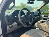 Used 2020 Ford F150 XL w/ Equipment Group 101A Mid image 2