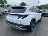 New 2025 Hyundai Tucson Limited image 5