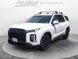 New 2025 Hyundai Palisade XRT image 3