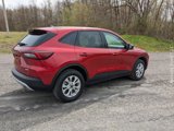 New 2025 Ford Escape Active w/ Cold Weather Package image 5