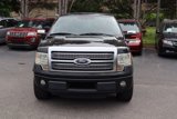 Used 2010 Ford F150 Platinum image 2