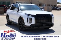 New 2025 Hyundai Palisade XRT