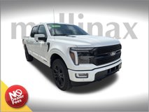 New 2025 Ford F150 Platinum