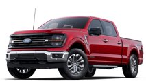 New 2025 Ford F150 XLT w/ Equipment Group 302A MID