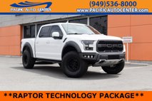 Used 2019 Ford F150 Raptor w/ Equipment Group 802A Luxury