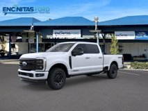 New 2025 Ford F250 Platinum