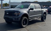 New 2024 Ford F150 XLT w/ Equipment Group 303A High