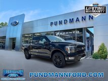 New 2025 Ford F150 Platinum