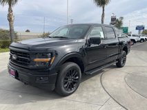 New 2025 Ford F150 XLT w/ Equipment Group 302A MID