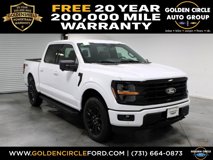 New 2025 Ford F150 XLT w/ Equipment Group 303A High