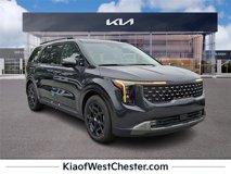 New 2025 Kia Carnival SX