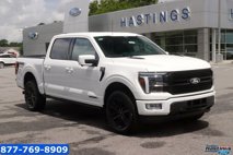 New 2025 Ford F150 Platinum
