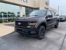 New 2025 Ford F150 STX