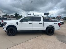 New 2025 Ford F150 STX w/ STX Black Appearance Package