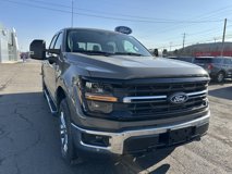 New 2025 Ford F150 XLT w/ Equipment Group 303A High