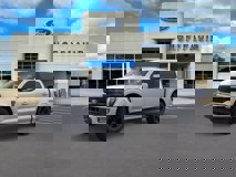 New 2025 Ford F150 Platinum