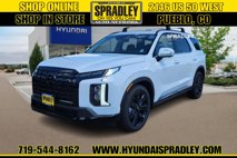 New 2025 Hyundai Palisade XRT