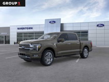 New 2025 Ford F150 Platinum