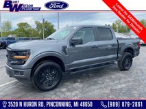 New 2025 Ford F150 STX w/ STX Black Appearance Package