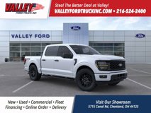 New 2025 Ford F150 STX w/ STX Black Appearance Package