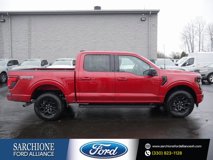 New 2025 Ford F150 XLT w/ Equipment Group 301A Standard