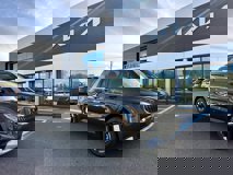 New 2025 Kia Carnival EX