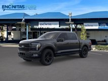 New 2025 Ford F150 Platinum