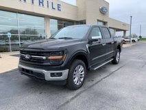 New 2024 Ford F150 XLT w/ Equipment Group 302A MID