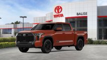 New 2025 Toyota Tundra Platinum